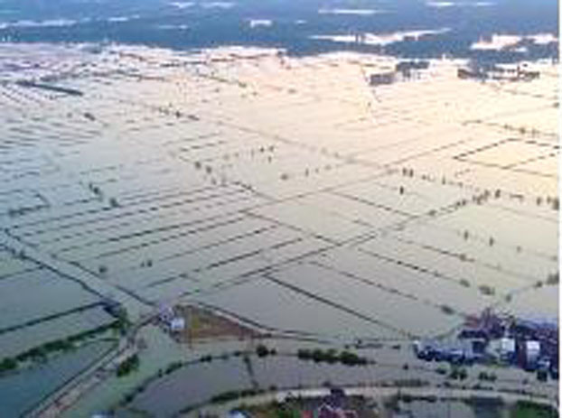Zayin : Sawah Petani yang Terdampak Banjir Perlu Didata dan Diberikan Kompensasi yang Layak